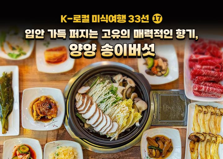 재배 불가능한 송이버섯, 양양이 지속 가능한 지역 경제 해법을 찾다