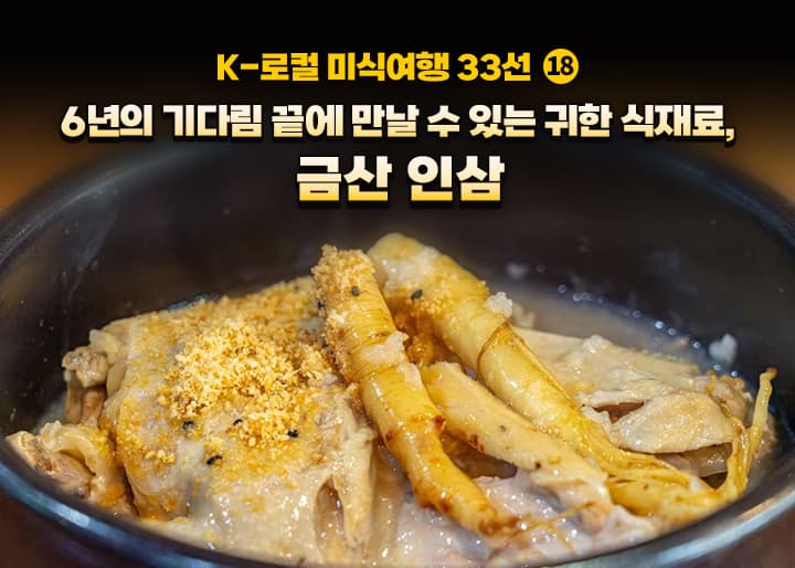 인삼, 무엇을 골라야 할까? 금산이 제시하는 믿을 수 있는 인삼 소비법