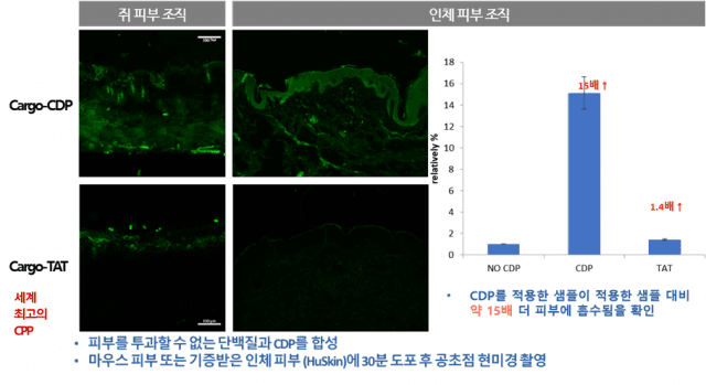 췌장암 등 난치성 고형암, 칸젠의 혁신 기술이 구조적 해결책 제시하다