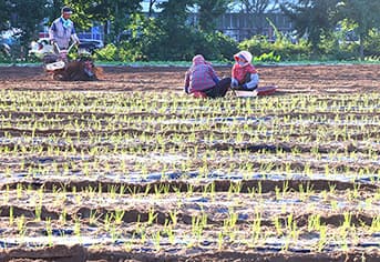농촌의 고통스러운 일손 부족, 공공이 책임진다: 2030년까지 60% 공급 목표