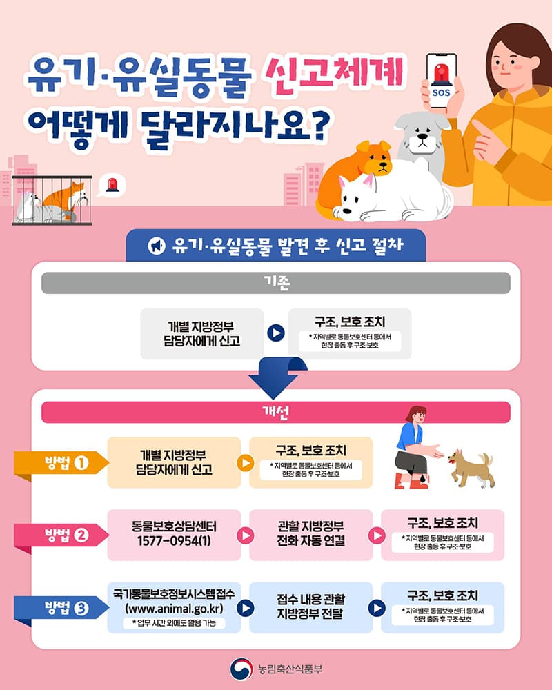 유기동물 신고 전국 단일화 구조 골든타임 확보한다