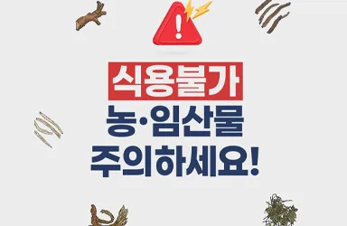 식용불가 농·임산물 주의, 안전성 미확보 차 판매 금지