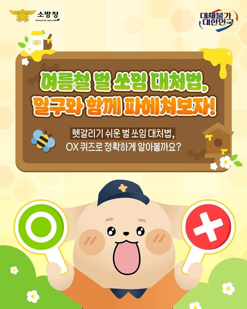 벌 쏘임 민간요법 되레 위험…냉찜질이 정답