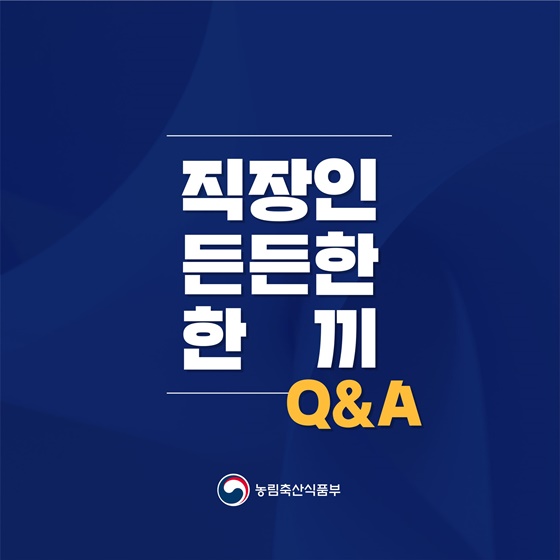 식사를 거르는 직장인, 지역 경제의 딜레마: '든든한 한 끼' 사업은 해법이 될 수 있을까?