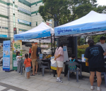 분당 돌고래시장, ‘함께 즐기고 함께 성장’ 슬로건 아래 성공적인 페스타 개최