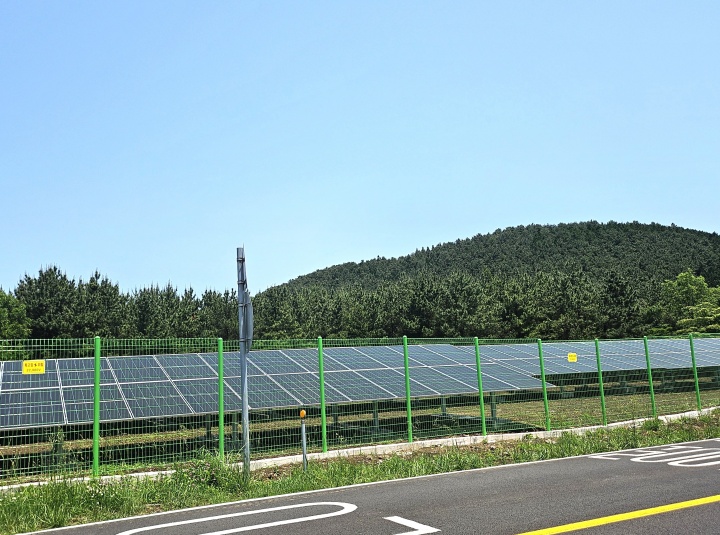 농업인 소득 증대와 식량안보, 지역사회 환원까지... 영농형 태양광 시범사업 추진 배경과 목표