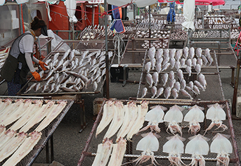 소멸 위기 농어촌, 월 15만원 기본소득으로 활력 되찾는다