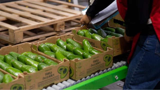 페루 농산물, 한국을 거점으로 아시아 시장 진출 가속화