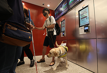 디지털 소외 끝! 키오스크, 이제 모두의 편리함을 위한 공간이 된다