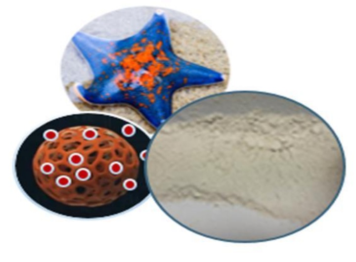 버려지던 불가사리가 고성능 섬유로, 해양 신기술이 기업 판로 개척한다