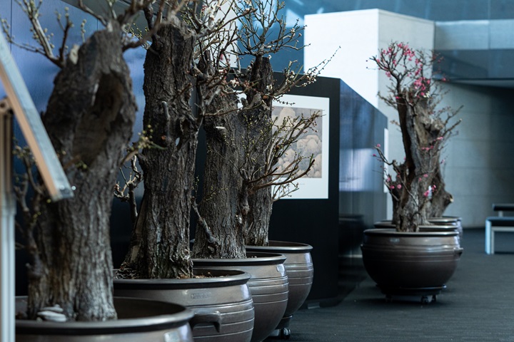 설 연휴 계획 고민, 전국의 '문화 충전소'가 해답이다