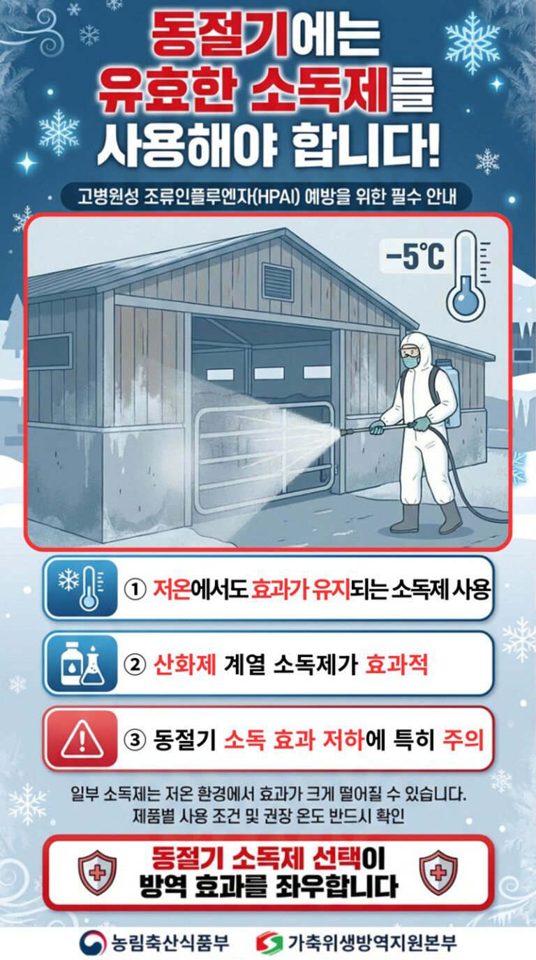 겨울철 조류인플루엔자, ‘온도 맞춤형 소독’이 해법이다