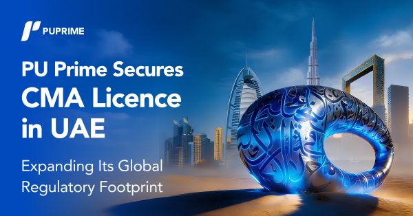 금융 규제 사각지대 해소, '공인 플랫폼'이 답이다